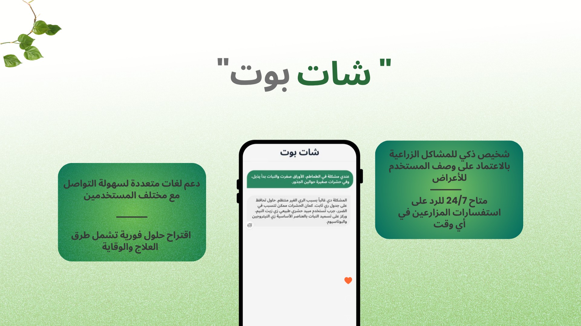 شات بوت